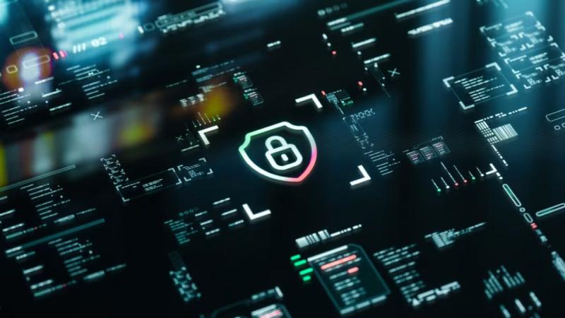 靖西县软件开发公司